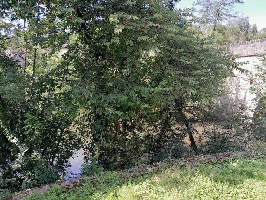 Appartement Privatif Tout Equipe En Bord De Riviere Figeac Exterior foto